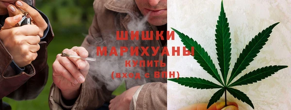 трава Каменка
