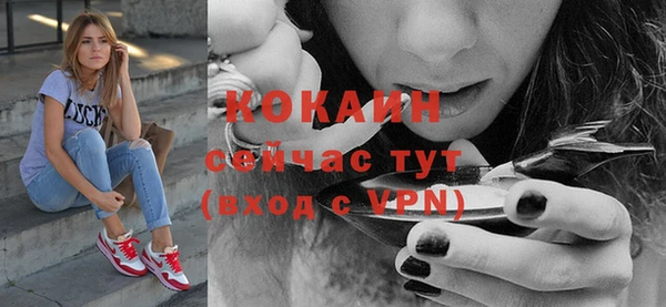 бошки Каменногорск